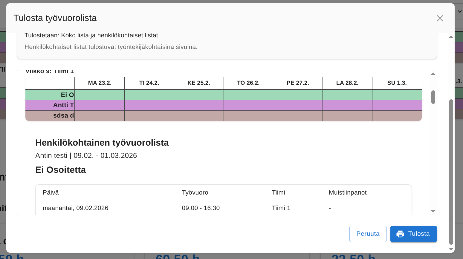 Esikatselu, jossa näkyy tiimin lista ja henkilökohtaiset työntekijäkohtaiset tulosteet